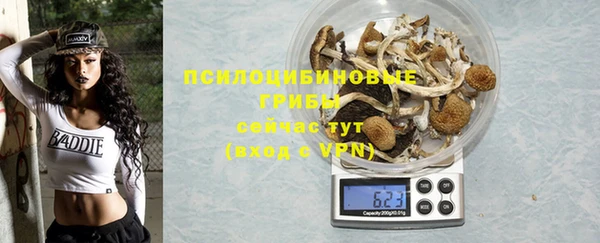 MDMA Premium VHQ Богородицк